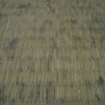 畳のお手入れ方法　畳にカビの発生した時の、お手入れ方法を紹介します。