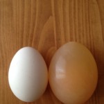 酢卵の効能とレシピについて　酢卵は健康を増進させます　おばあちゃんの知恵袋を検証