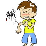 蚊に刺されると、なぜ痒くなるのか？　痒くなるメカニズムを紹介します。