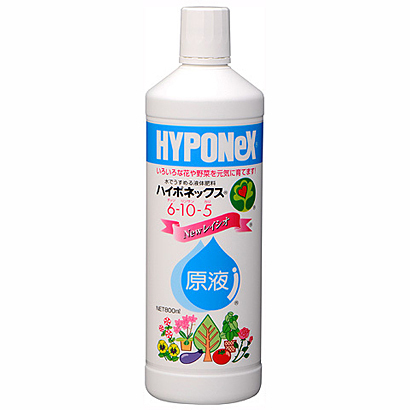 ブライダルベールの育て方について 肥料の与え方 増やし方 きれいに咲かせ方 病害虫対策など 元気に育てるコツを紹介します 生活の知恵袋