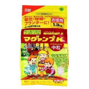 サフランの育て方 球根からの育て方から 来年も咲かせる方法を紹介します 生活の知恵袋