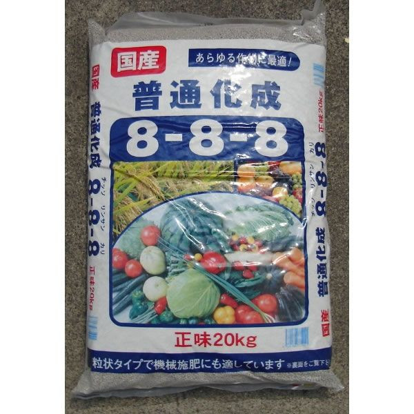 アキランサスの育て方について 鮮やかな赤や黄色を出す方法 生活の知恵袋