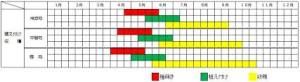 シソの育て方について 上手に美味しく育てるコツを紹介します 生活の知恵袋