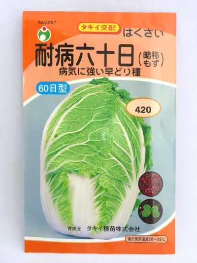 白菜の育て方について 美味しく元気に育てるコツを紹介します 生活の知恵袋