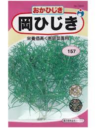 オカヒジキの育て方について 上手に美味しく育てるコツを紹介します 生活の知恵袋