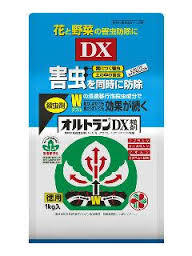 青虫 アオムシ の退治 駆除 予防の仕方について 農薬を使用しない方法や効果的な農薬 おすすめの方法を紹介します 生活の知恵袋