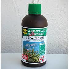 笹 ササ の駆除 除草方法について 除草剤を使用しない方法や根まで枯らす方法を紹介します 生活の知恵袋